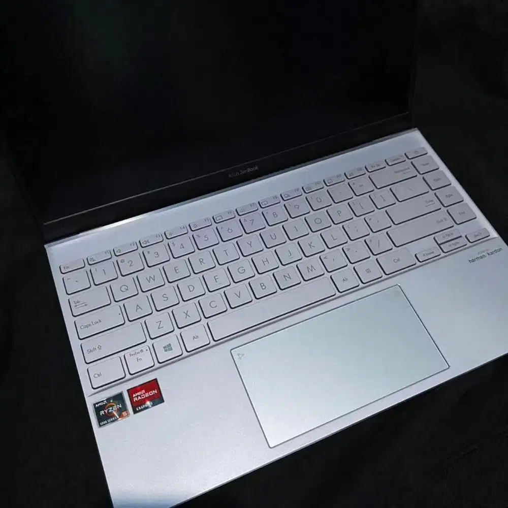 Asus Zenbook 14 Ori 14 (2022)
