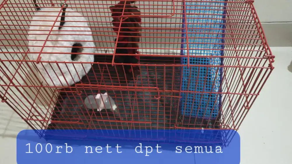Dijual murah...obral hrg ada di masing2 foto