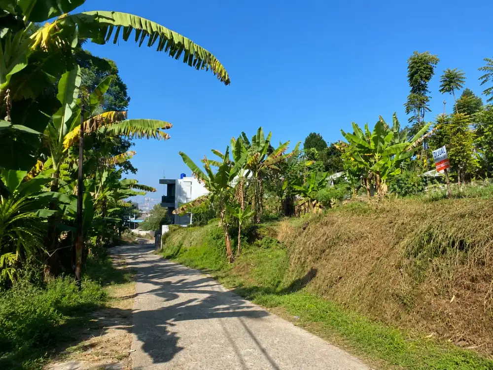 Tanah Padasuka Dekat Jalan A.H. Nasution – Survey Sekarang!