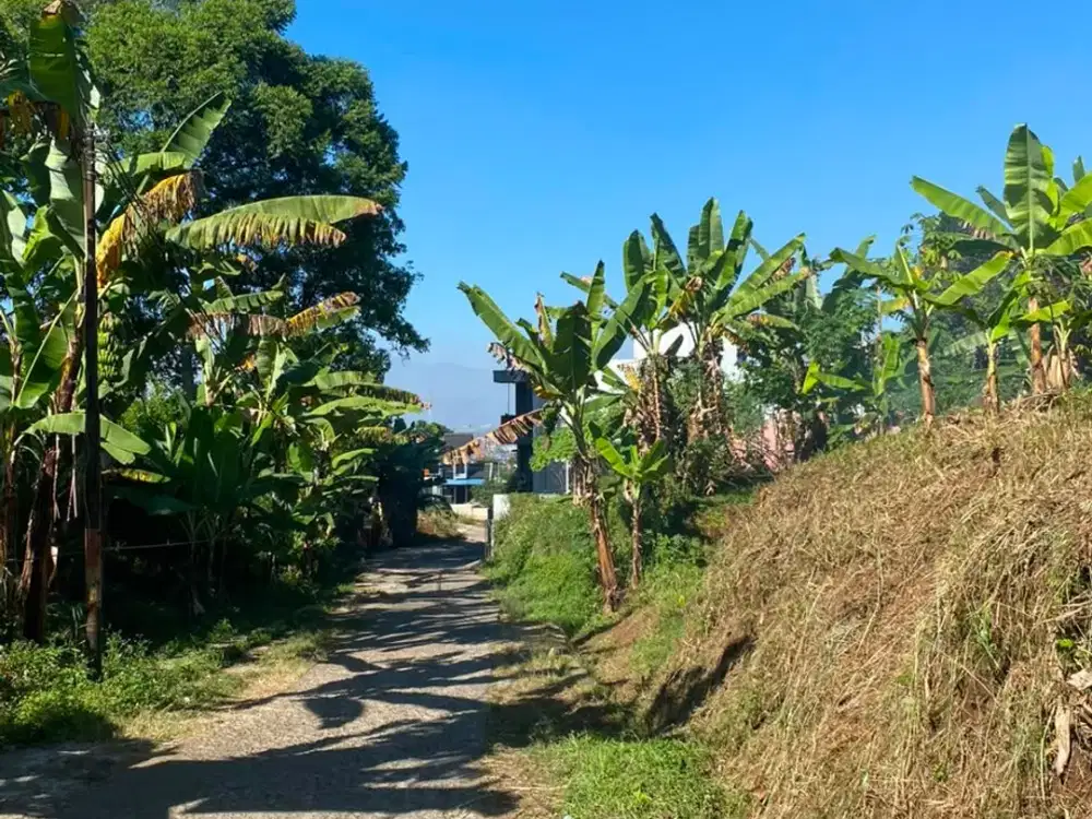 Tanah Kavling Premium Padasuka Lokasi Strategis