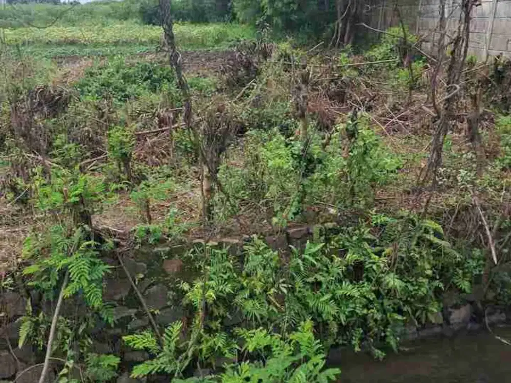 tanah industri