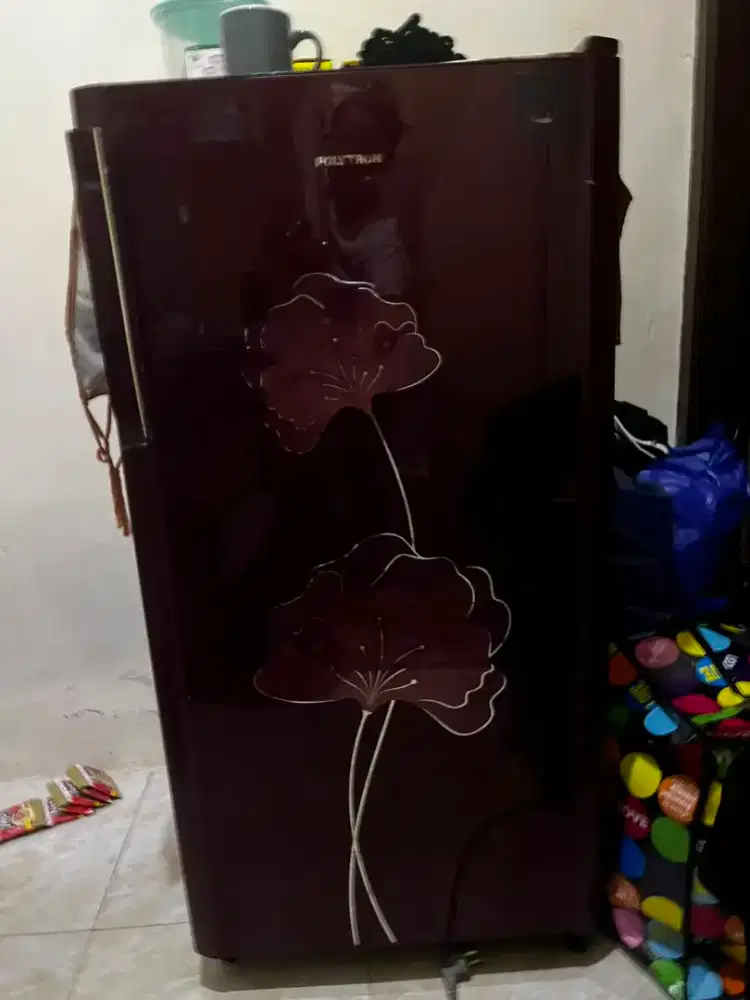 Kuklas 1 pintu politron