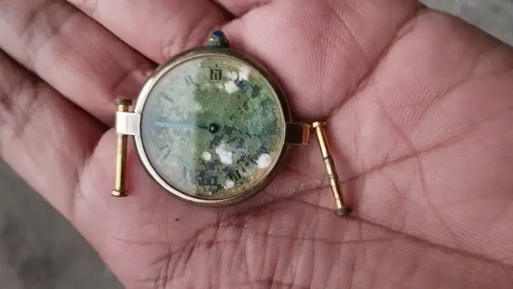 Cartier watch rusak