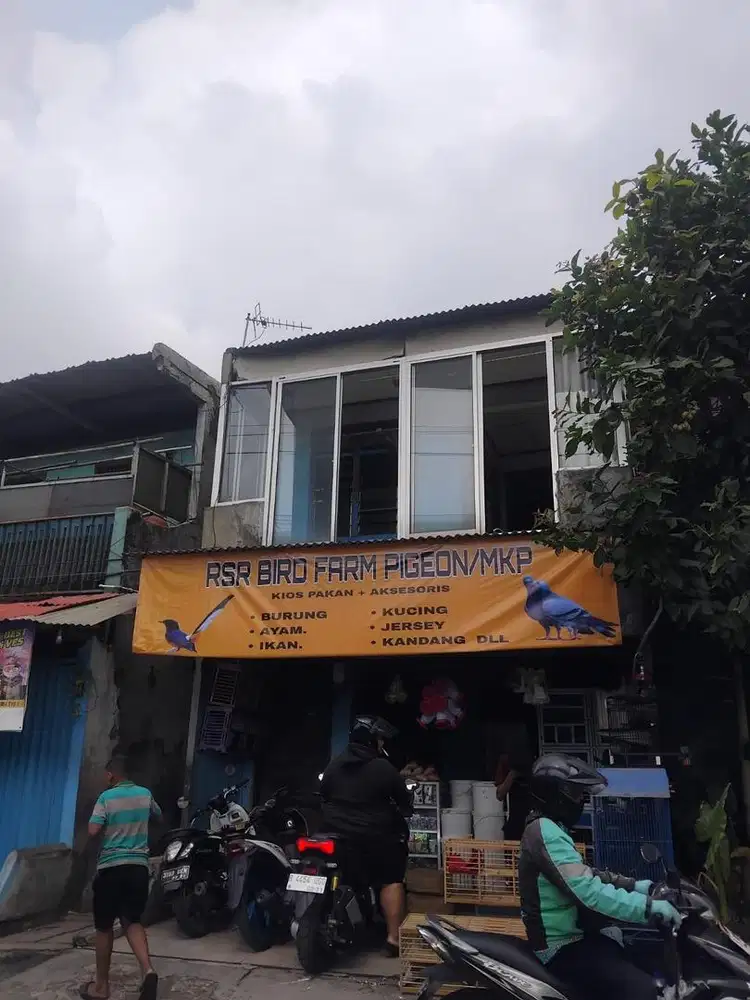Loker jaga pakan burung dan merawat burung