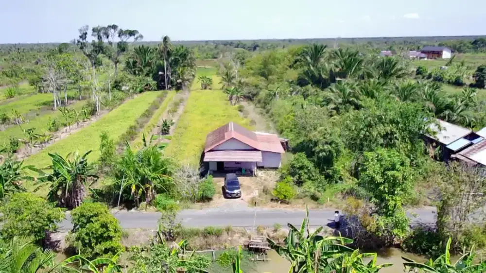 [DIJUAL] TANAH STRATEGIS LUAS 3.702 M² – COCOK UNTUK PERUMAHAN & KEBUN