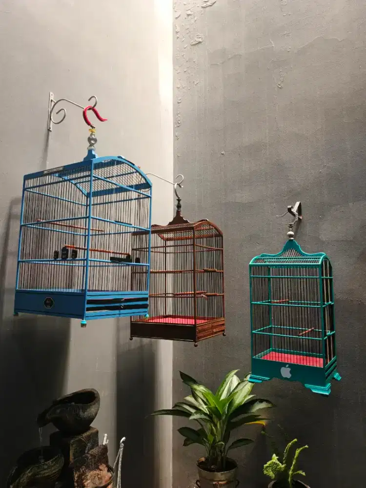 Kandang burung ebod