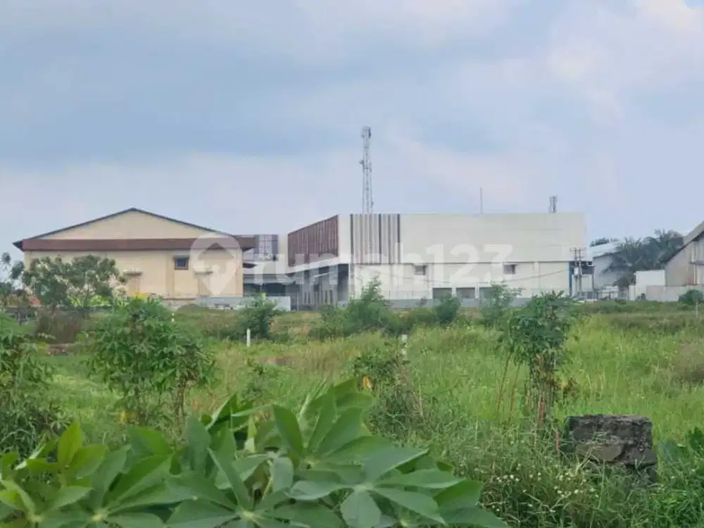 Dijual Tanah di Teluk Naga Jalan Raya Tanjung Pasir