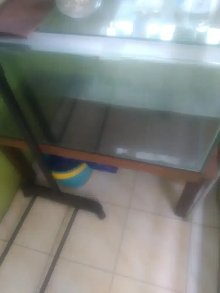 Akuarium ukuran 80 ke 40 tebal kaca 1cm