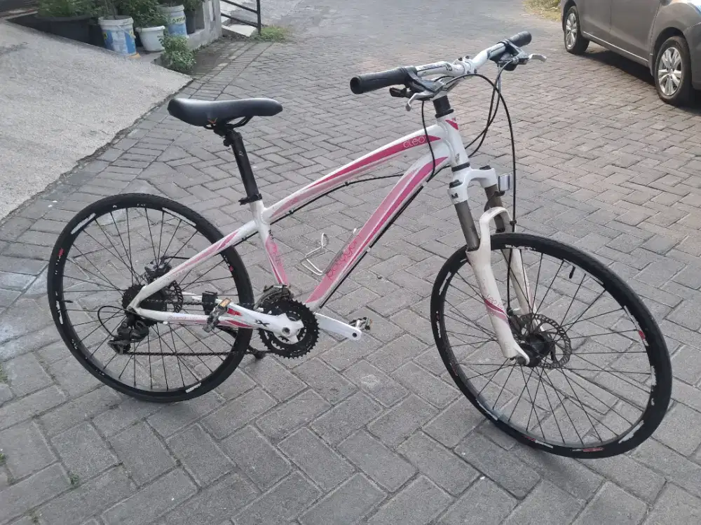 Polygon  Cleo 2.0 Original