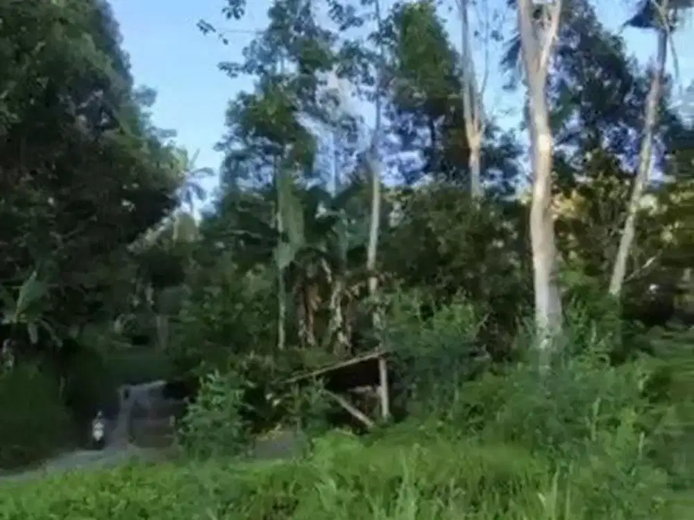 Tanah 40 Are di Muncan, View Gn Agung, Sungai & Sawah