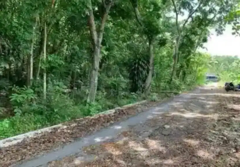 Tanah Pekarangan Milik Keluarga Dengan Muka 29m Hadap Jalan Lebar