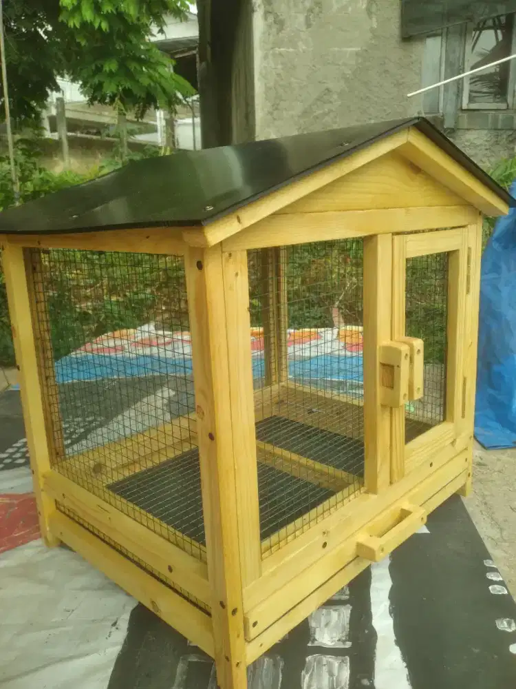Kandang Ayam Kucing Kelinci