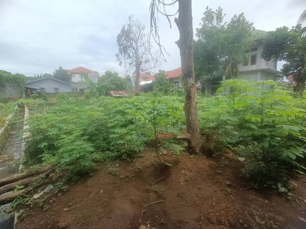 Tanah kosong untuk perumahan