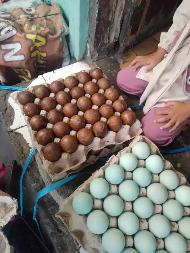 Terlor asin ori dan bakar