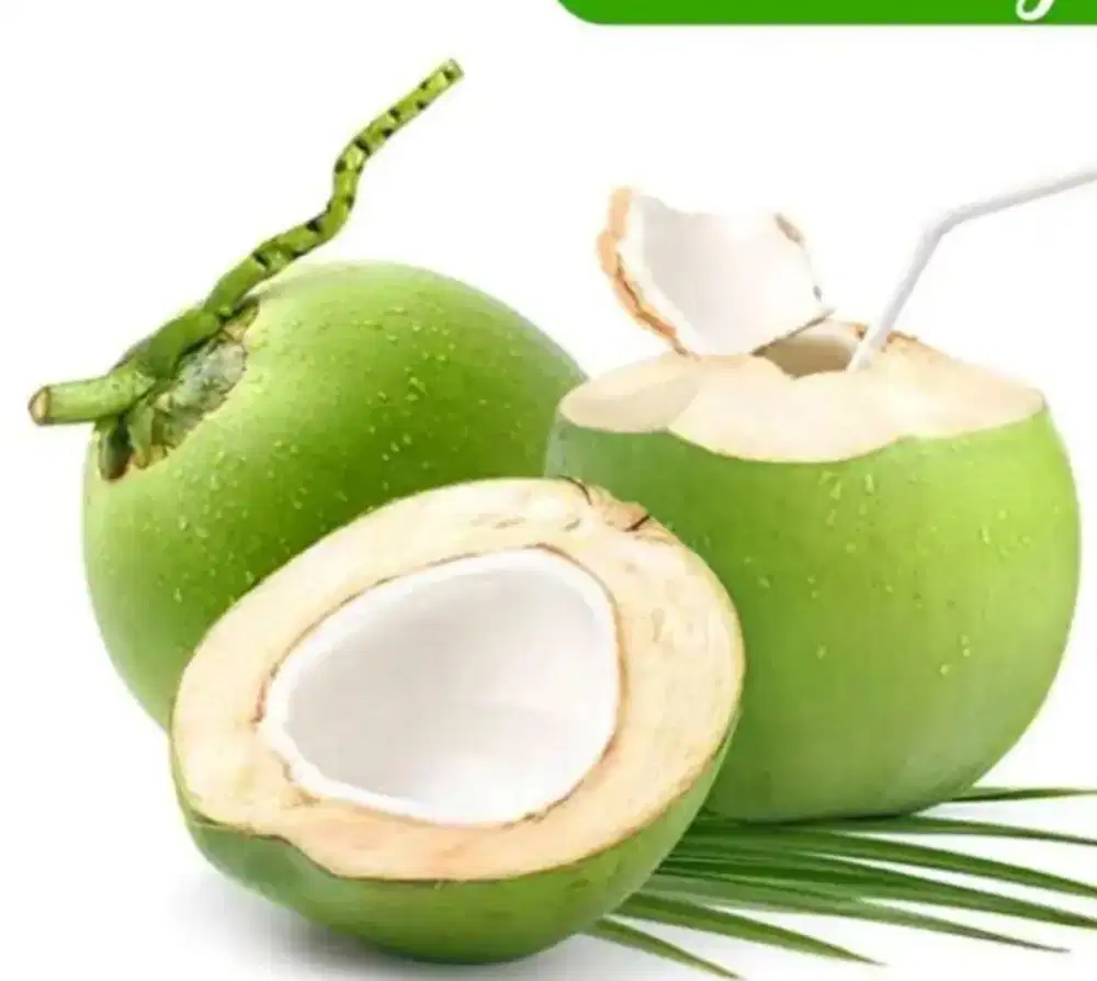 Butuh segera administrasi untuk jual kelapa muda, rajin, jujur, rapi