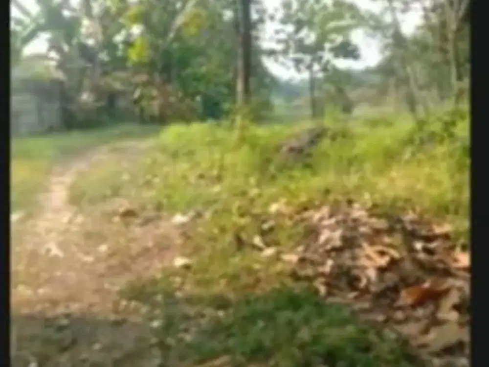 Dijual lahan di lokasi cisauk