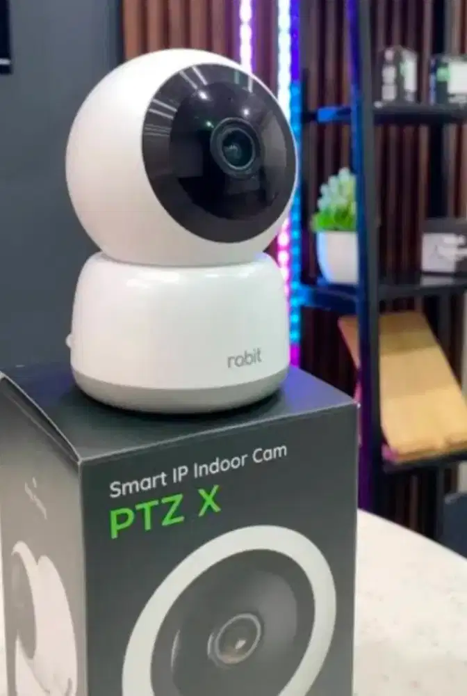 CCTV Indoor rabbit