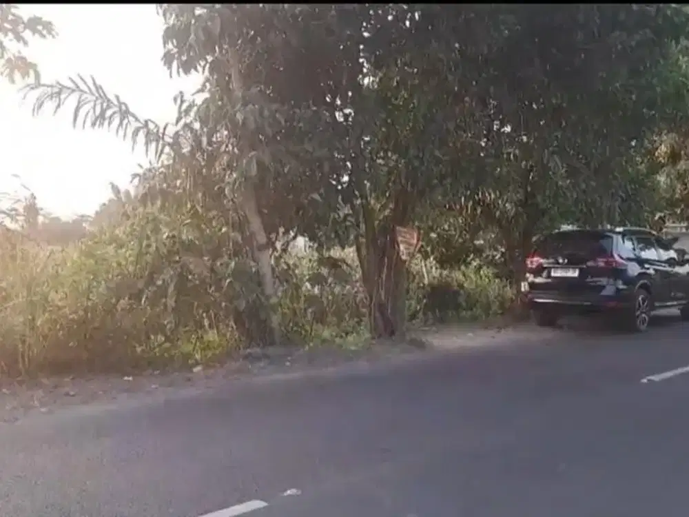 Jual Tanah Sawah Jl panglima polim tretek kec pare arifin sekoto