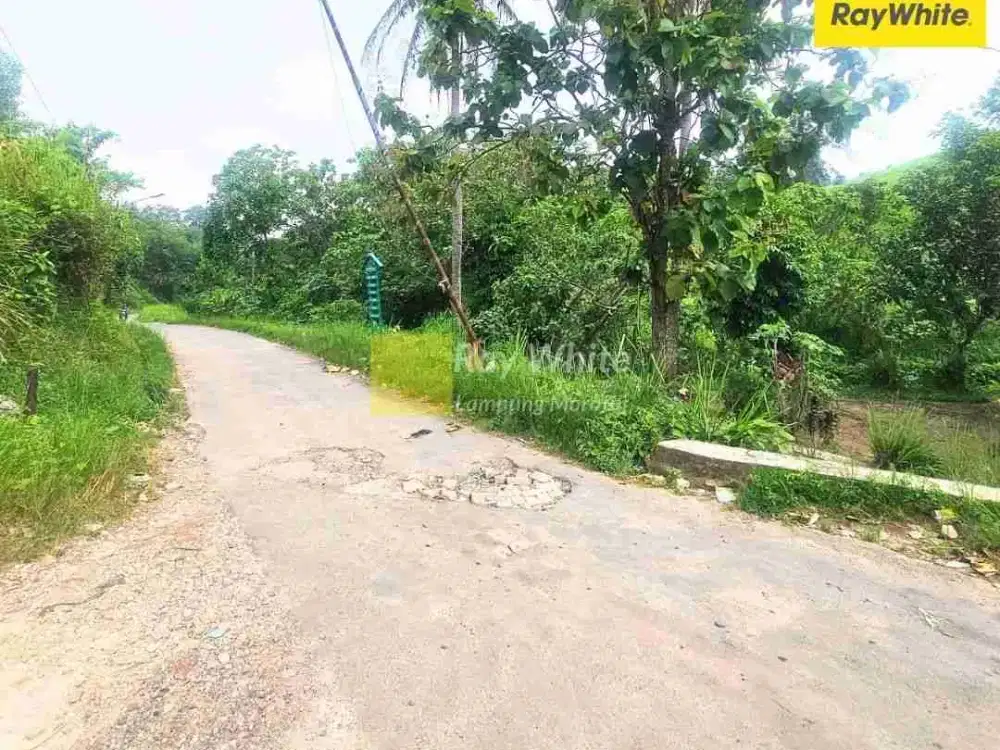 Tanah Cocok untuk Pemukiman atau Industri