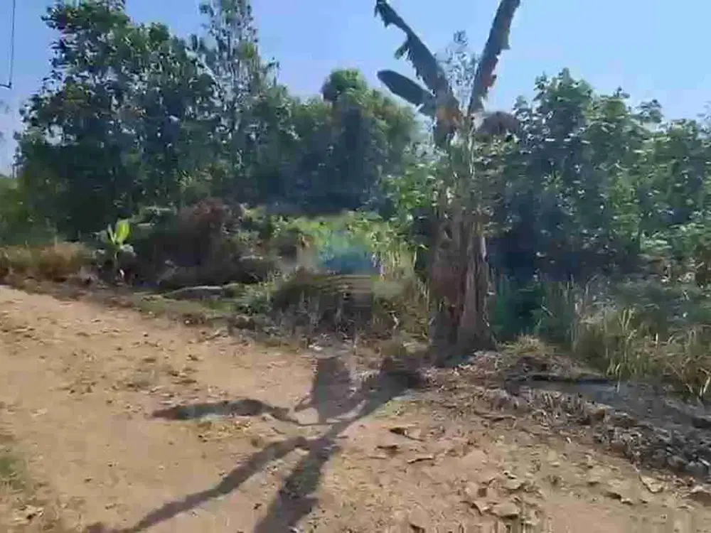 Di Jual Tanah di jln ds.Cilaku Tenjo Bogor Jawa Barat