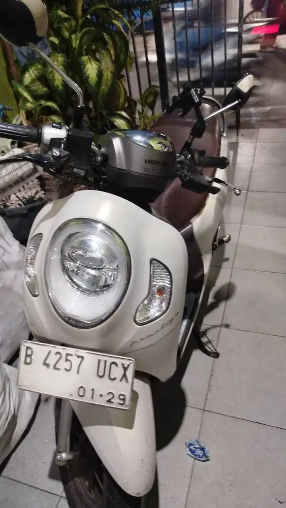 Scoopy prestige 2024