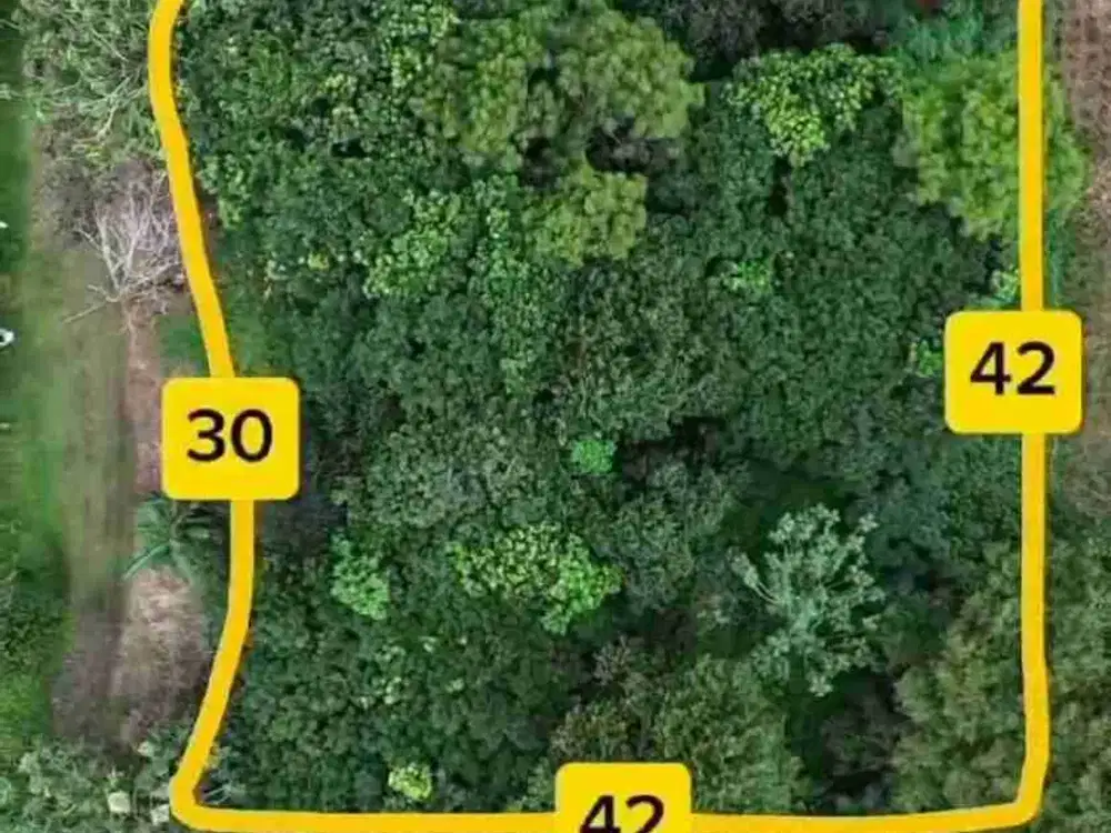 Tanah di Parung Hijau 2 Tajur Halang Bogor