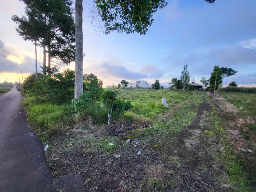 Tanah di Tomohon lokasi strategis cocok untuk villa, udara sejuk