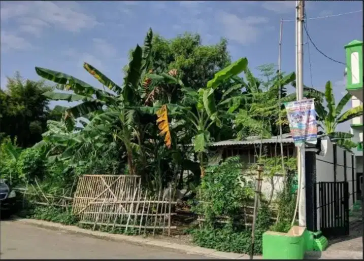 Tanah Tengah Kota Tegal Lokasi Strategis
