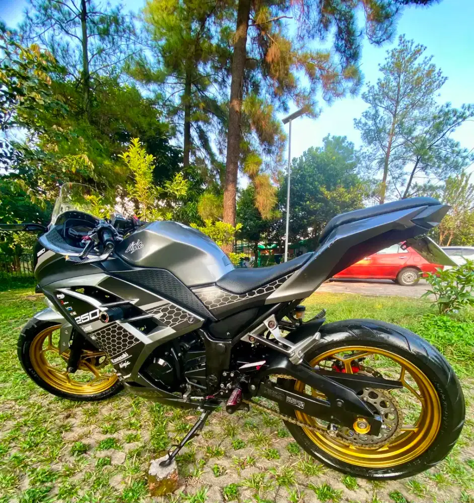 Jual Ninja 250 th 2013 Warn Grey Rare