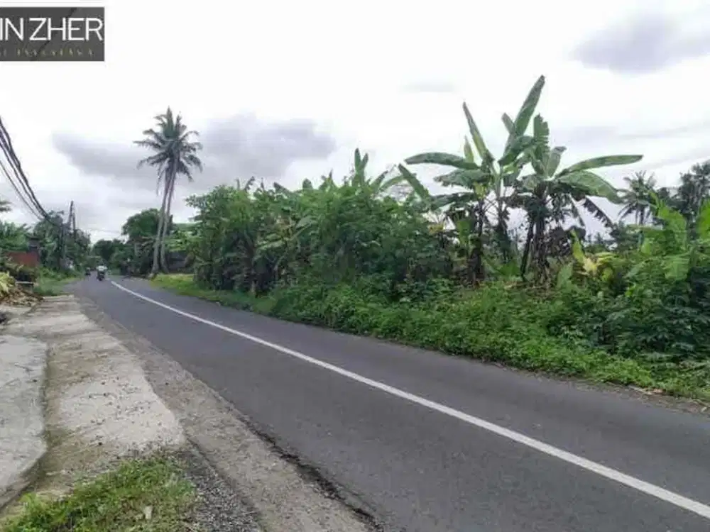 Dijual tanah komersil di jalan utama kedungu kawasan pantai