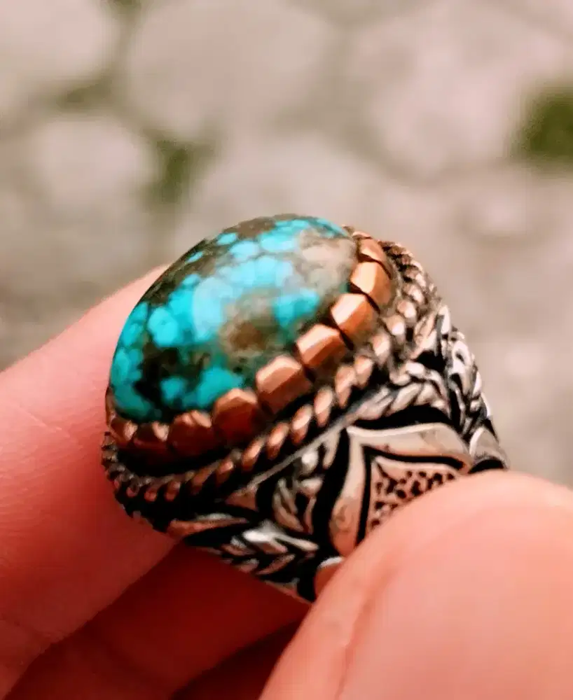 Pirus persia blue fancy lawasan mumbul