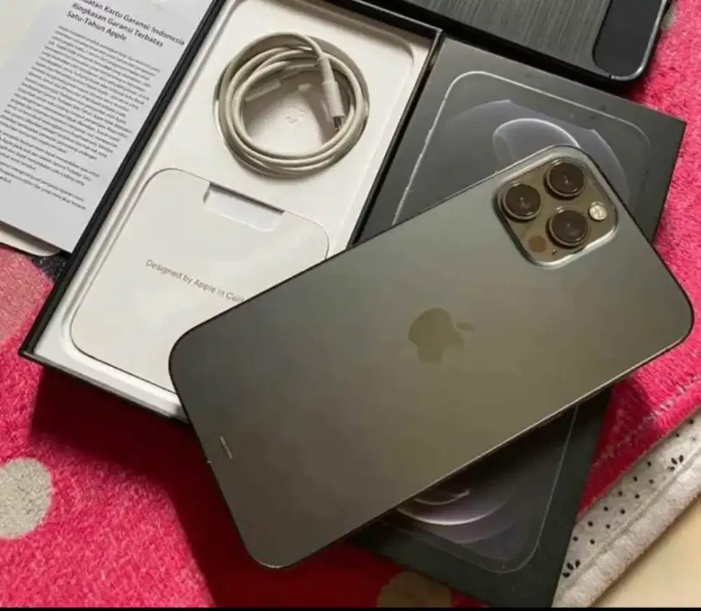 Iphone 12 promax 256gb ex resmi