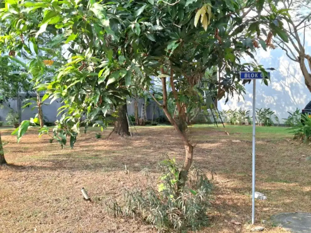 KAVLING FORESTA, BSD CITY CLUSTER PRIMAVERA