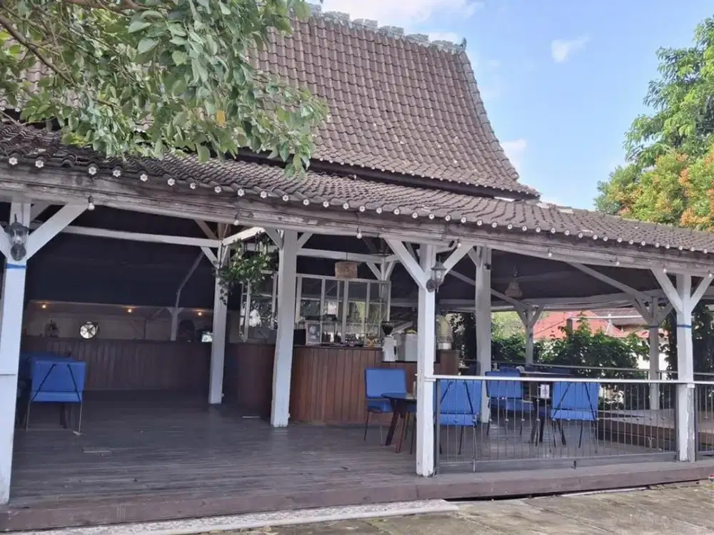 Tempat Usaha dengan 12 Bungalow & Pool Disewakan di Tibubeneng, Canggu