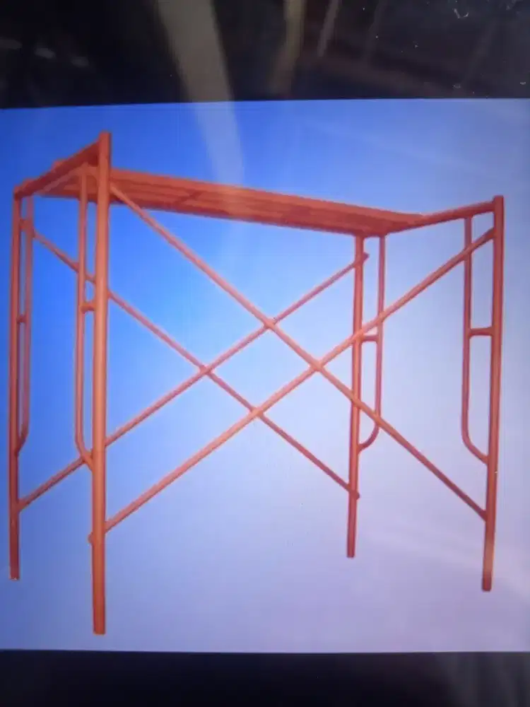 Scaffolding steger