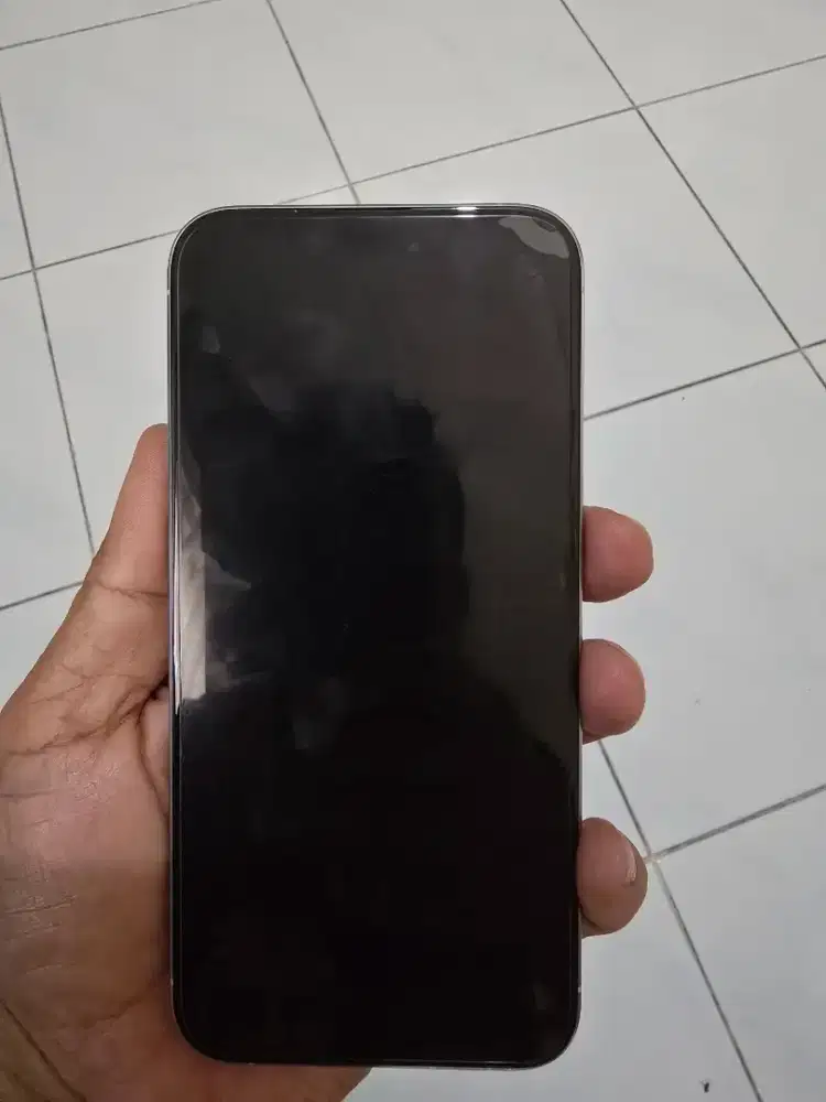 Iphone 15 pro max 256 gb