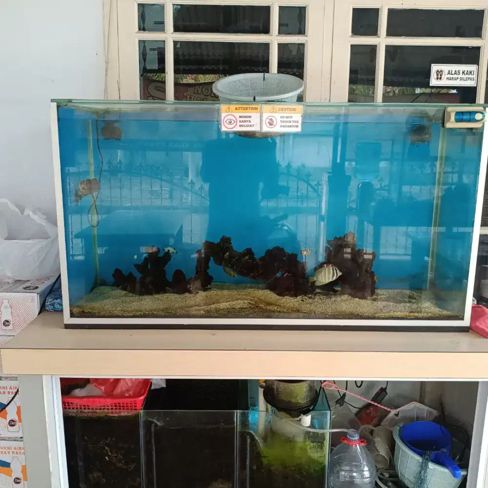 Dijual aquarium