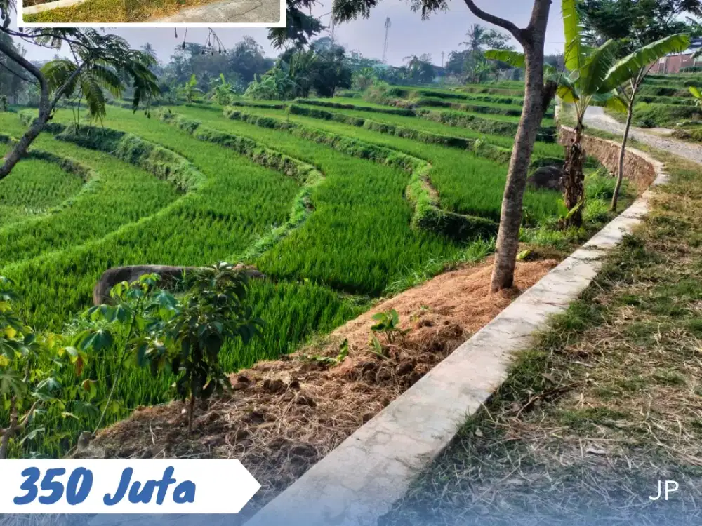 Dijual Tanah View Bagus Di Utara SMA Karangpandan