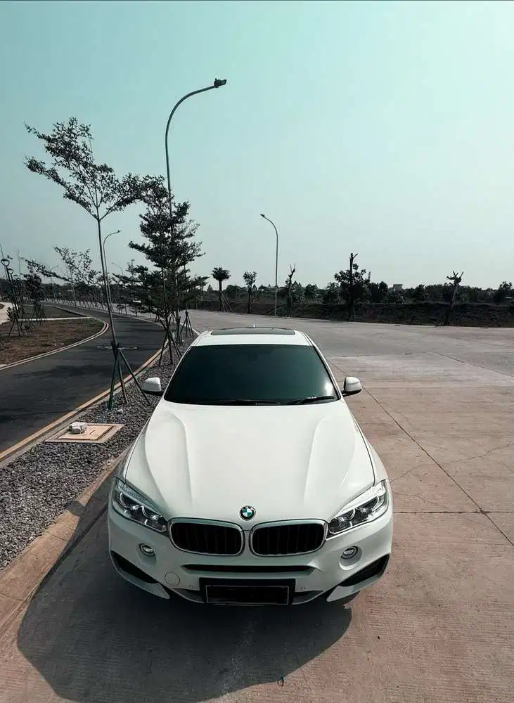 BMW X6 Tahun 2017