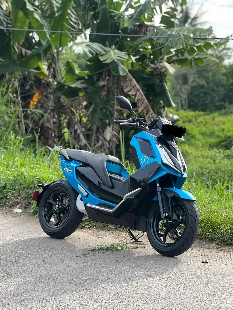 Alva cervo biru
