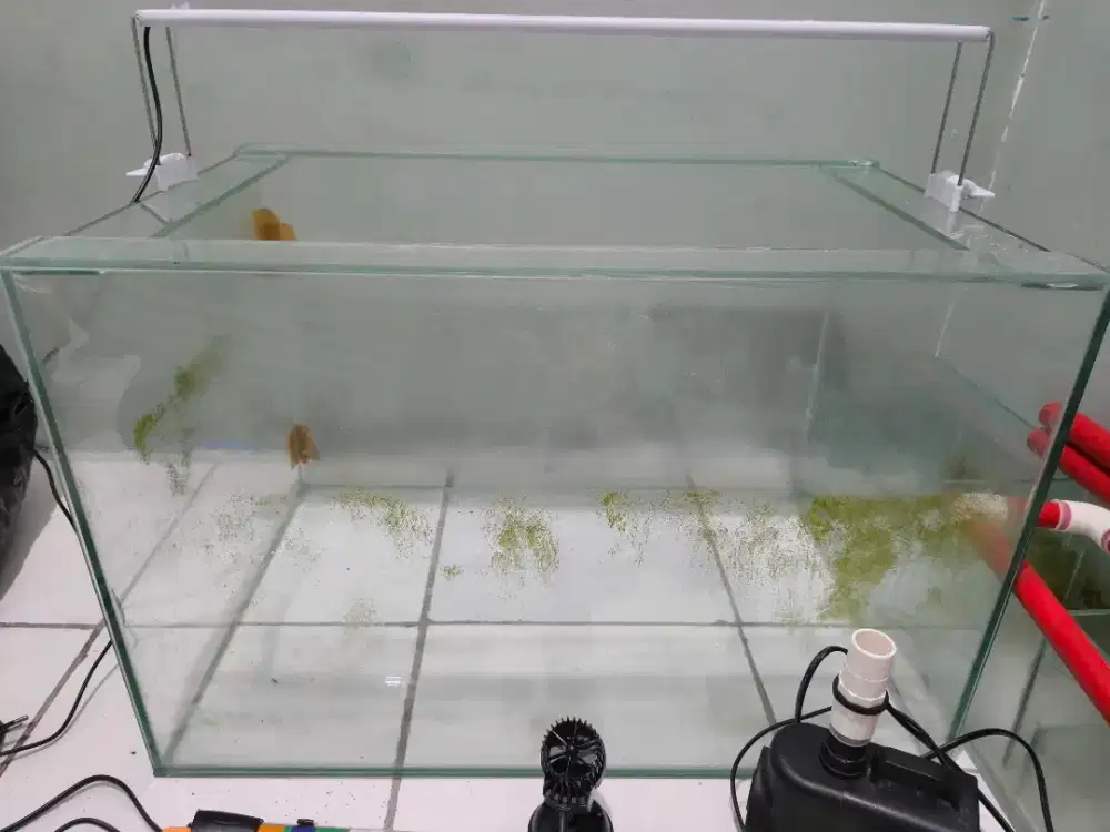 PAKET AQUARIUM 60x40x40 + FILTER KOMPLIT