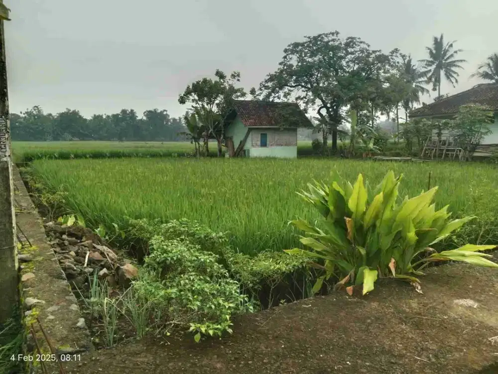 Tanah pinggir jalan kapten Murod kota cimais