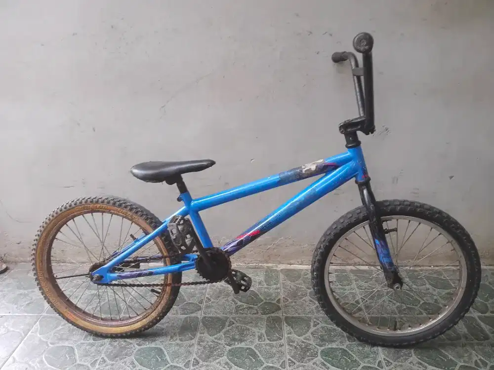 Polygon bmx 20 terpedo
