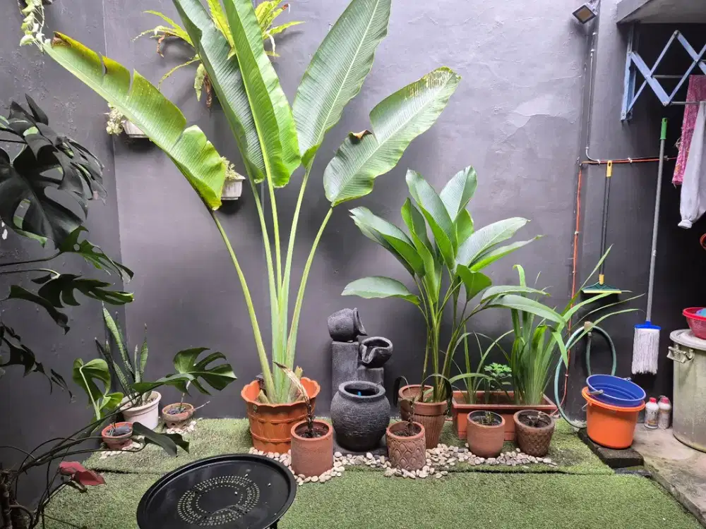 Rumah Cantik, siap huni, Luas tanah 90, Bgn 65, 2kt 1kp, 1km 1kmp, di Kemang Pratama 5, Bekasi
