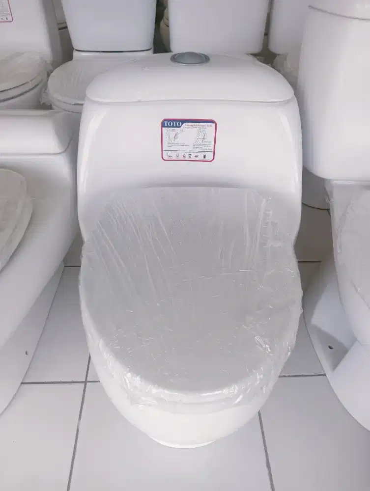 kloset duduk Toto type cw894j model mewah , lengkap