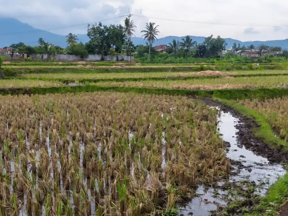 Tanah Strategis Lokasi Emas di Pusat Kota Cianjur 2,07 Ha