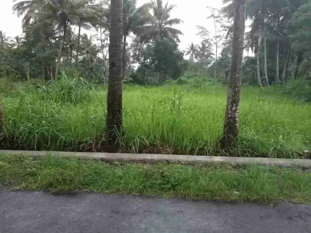JUAL MURAH TANAH SANGAT STRATEGIS DI JALAN PULOWATU, PURWOBINANGUN, PAKEM, SLEMAN