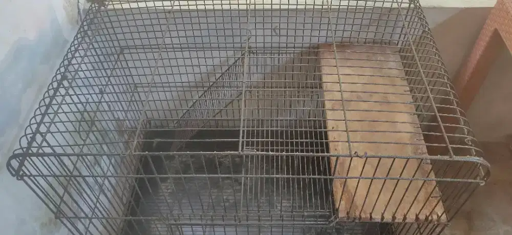 Kandang kucing besi tebal Tingkat. Kokoh +Roda