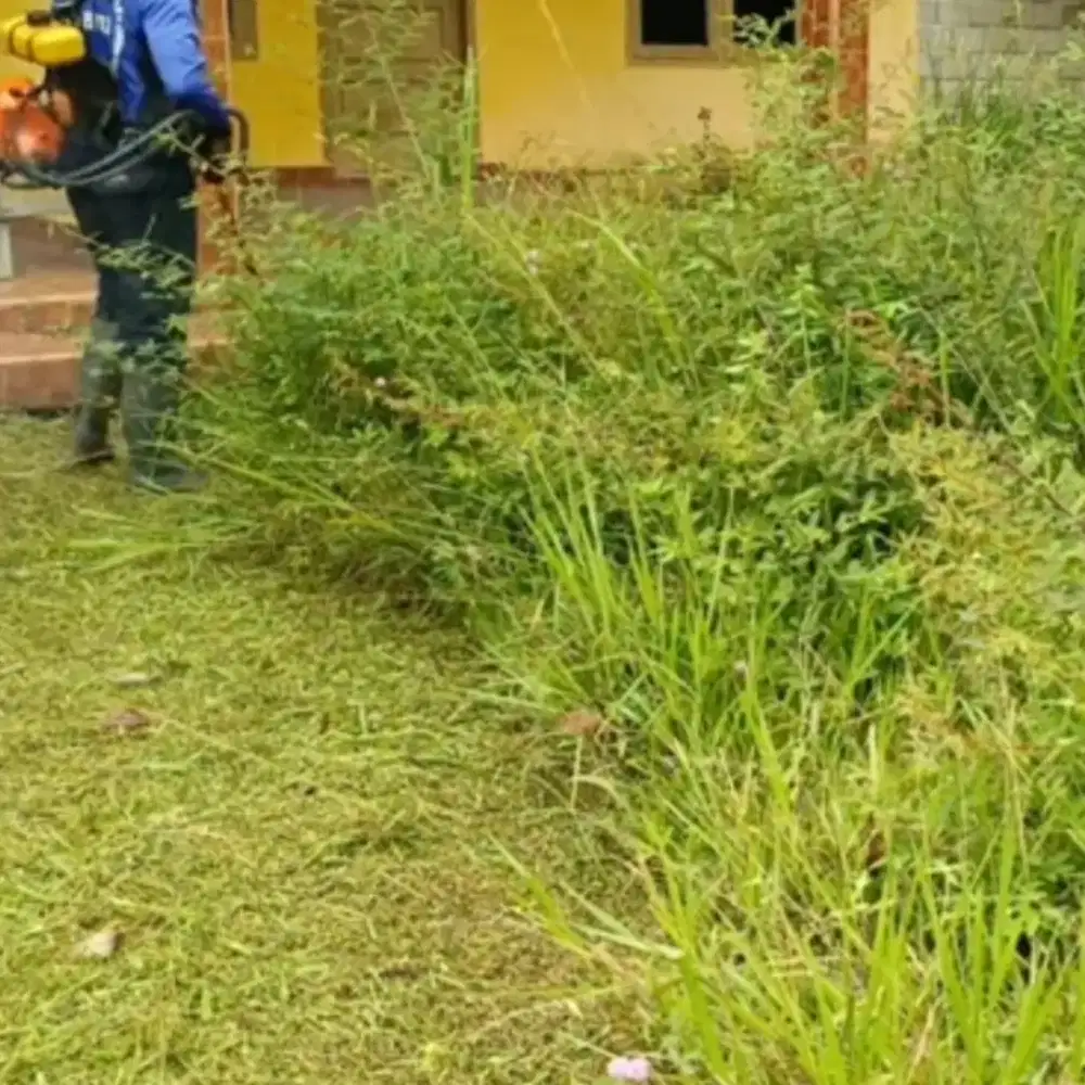 pembersihan  rumah kosong ,potong rumput dan babat