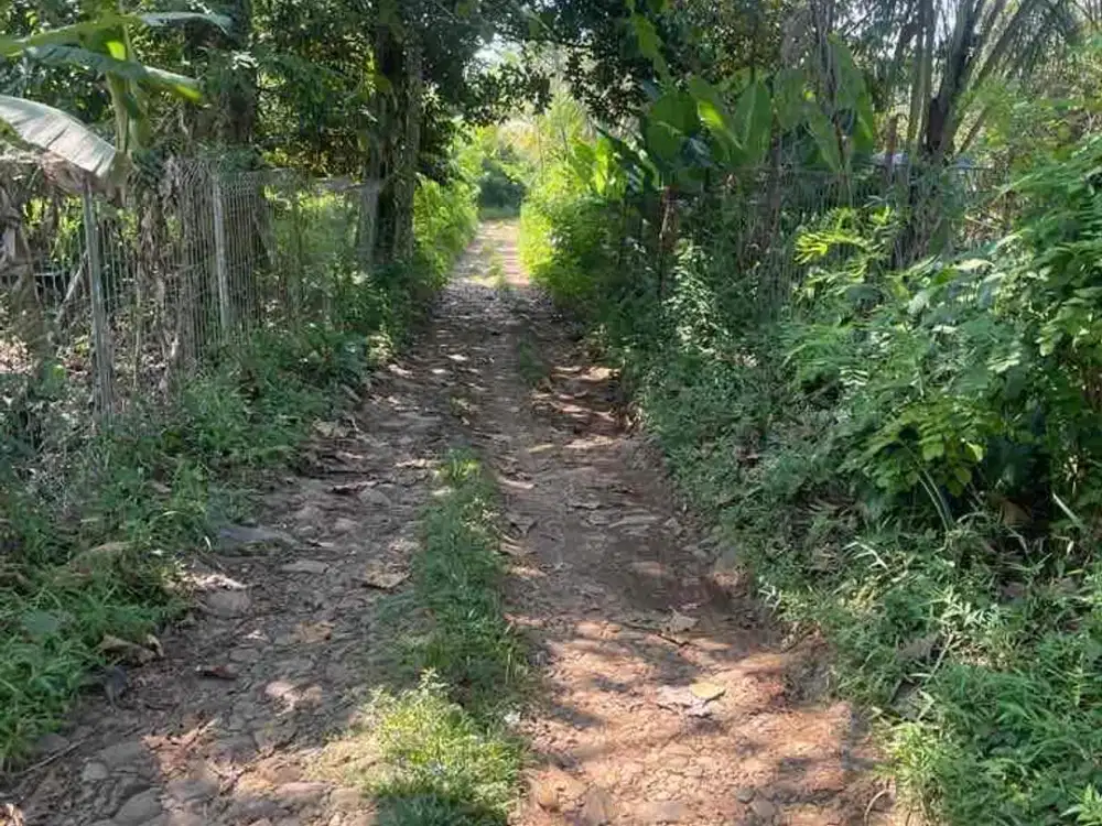 Di jual cepat tanah di daerah tanjungsari bogor